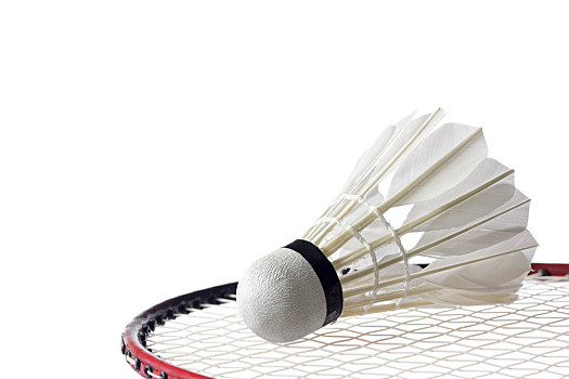 们反复品味 们反复品味